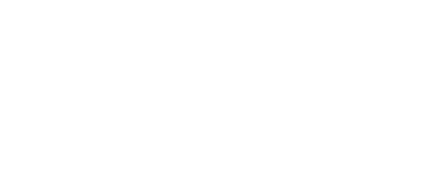 Logo-Primus